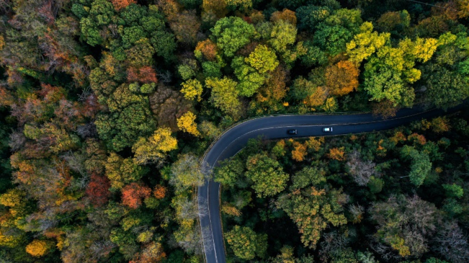 Baden-Württemberg: Vermisste nach einer Woche tot in Auto neben Landstraße gefunden