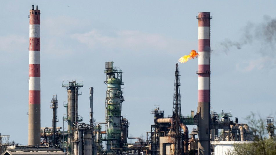 D&eacute;carbonation de Fos: impatience des industriels face au risque d'enlisement