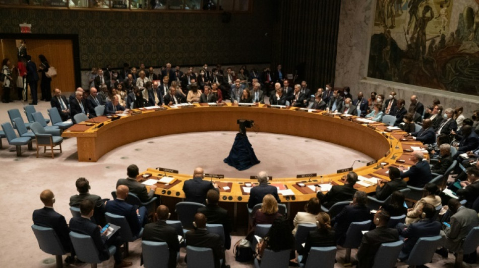 La Asamblea General de la ONU estudia c&oacute;mo reformar Consejo de Seguridad