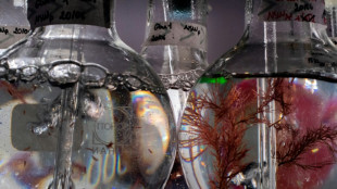 La "soupe de microbes" oc&eacute;anique scrut&eacute;e par les chercheurs et la Marine