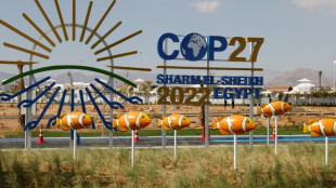 La COP27 entra en su recta final con bloqueo sobre compensaciones por cambio clim&aacute;tico