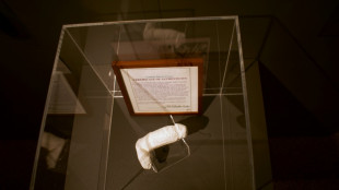 "Hard rock": un moulage du p&eacute;nis de Jimi Hendrix expos&eacute; en Islande