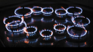 Il gas chiude in rialzo sopra i 33 euro al Ttf di Amsterdam