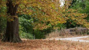 La s&eacute;cheresse s'aggrave en France, pr&egrave;s de deux tiers des nappes phr&eacute;atiques en souffrance