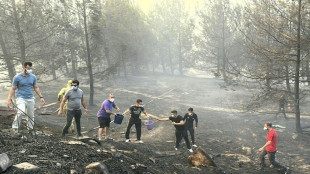 Cientos de evacuados y tr&aacute;fico mar&iacute;timo suspendido en los Dardanelos por incendios en Turqu&iacute;a