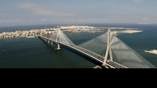 Loas al mestizaje y cr&iacute;tica a las tiran&iacute;as en el Congreso de la lengua espa&ntilde;ola