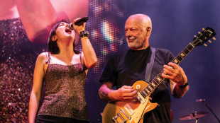 David Gilmour, 'c'&egrave; una magia in pi&ugrave; nel suonare a Roma'
