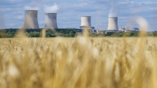 EU-Gericht urteilt über Einstufung von Gas und Atomkraft als nachhaltig