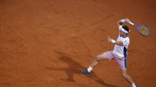 Ruud 'Sinner la cosa pi&ugrave; vicina alla perfezione che abbia visto'