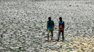 Canicules: des r&eacute;gions enti&egrave;res vont devenir invivables au cours des prochaines d&eacute;cennies 