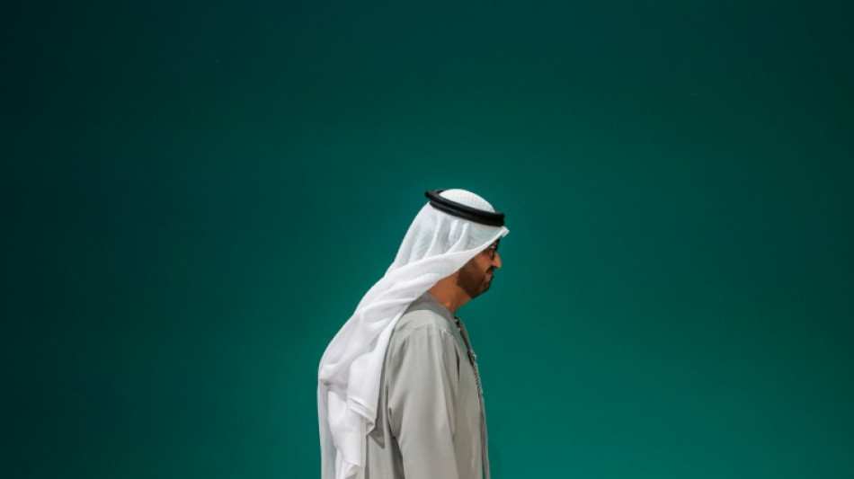 Des climatologues tr&egrave;s sceptiques sur l'accord conclu &agrave; la COP28