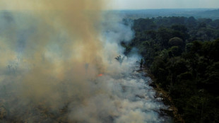 Los incendios en la Amazon&iacute;a brasile&ntilde;a cayeron a su m&iacute;nimo hist&oacute;rico en 2025