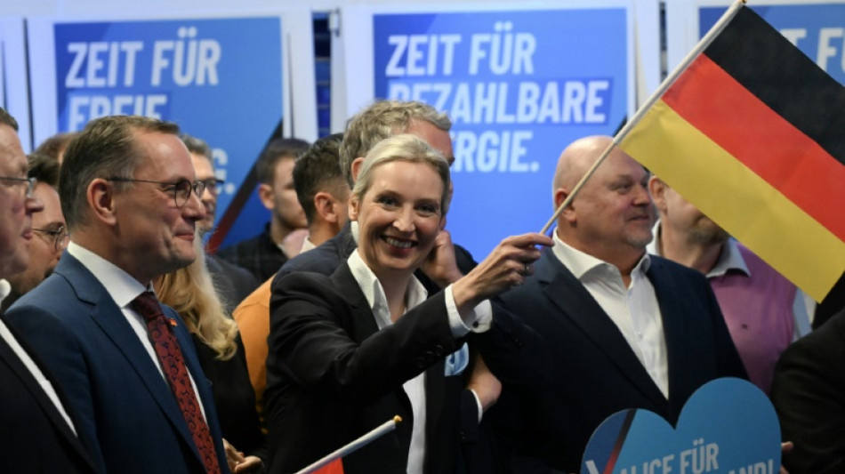 Germany's AfD dealt blow with right-wing extremist label