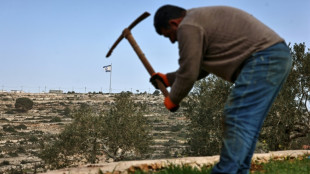 La ONU, la UE y pa&iacute;ses &aacute;rabes condenan el plan israel&iacute; para reformar el registro de tierras en Cisjordania