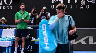 Open d'Australie: Djokovic miracul&eacute;, Rybakina supplante Swiatek
