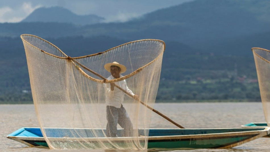 En M&eacute;xico, rescatan al lago de P&aacute;tzcuaro con peces blancos y limpieza de manantiales