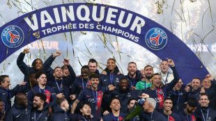 Le Troph&eacute;e des champions &agrave; Doha, ou l'influence du Qatar sur le foot fran&ccedil;ais