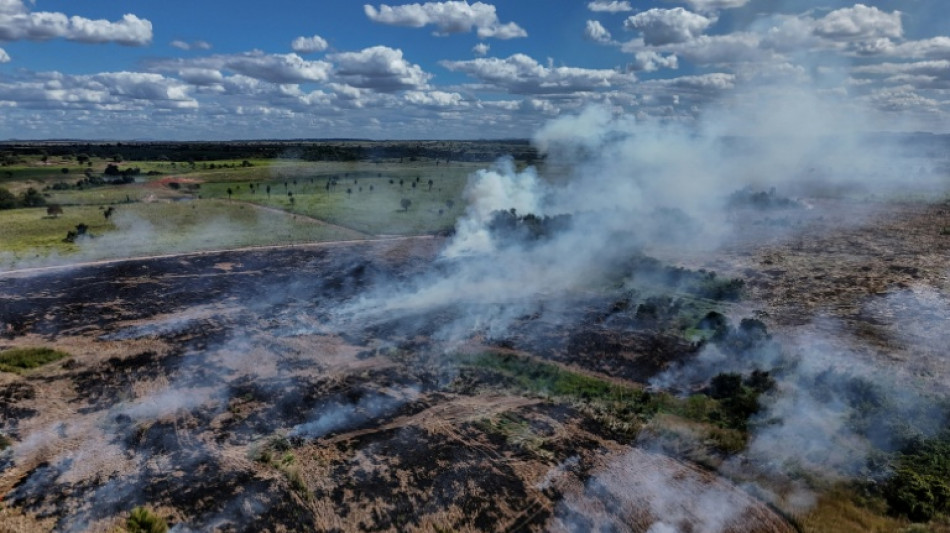 Desmatamento na Amaz&ocirc;nia brasileira caiu em 2025 ao menor n&iacute;vel em seis anos