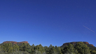 Trump expected to shrink protected lands in Utah: reports