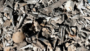 Mexican mayor arrested in probe of alleged drug cartel ranch: govt source