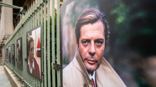 Torino celebra Mastroianni, 'qui frequent&ograve; la scuola elementare'