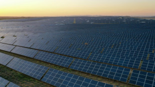 China's power paradox: record renewables, continued coal