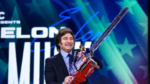 Argentina votes in midterms critical for Milei's agenda