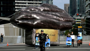 El mayor emisor australiano anuncia que dejar&aacute; el carb&oacute;n en 2035