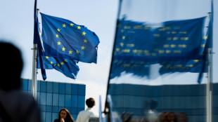 L'UE suspend des sanctions visant des secteurs &eacute;conomiques cl&eacute;s en Syrie