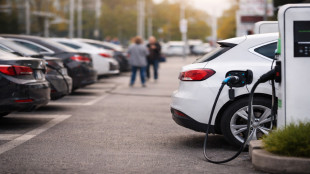 Germany: Electric car boom remains fragile