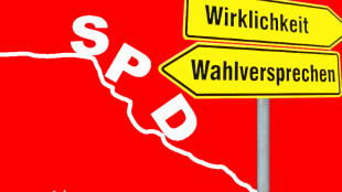 Niederlagen der SPD und Skandal um schwerbehindertes Kind im Land Brandenburg